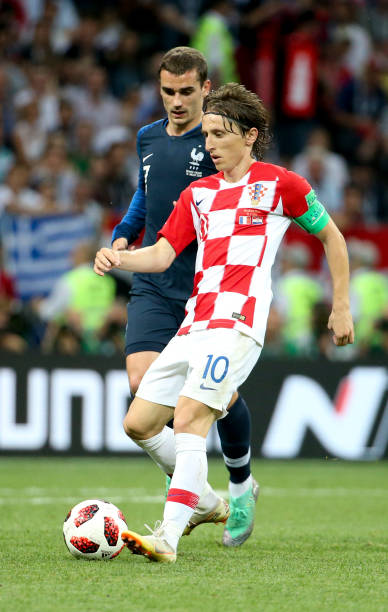 專家如費蘭 專家如費蘭