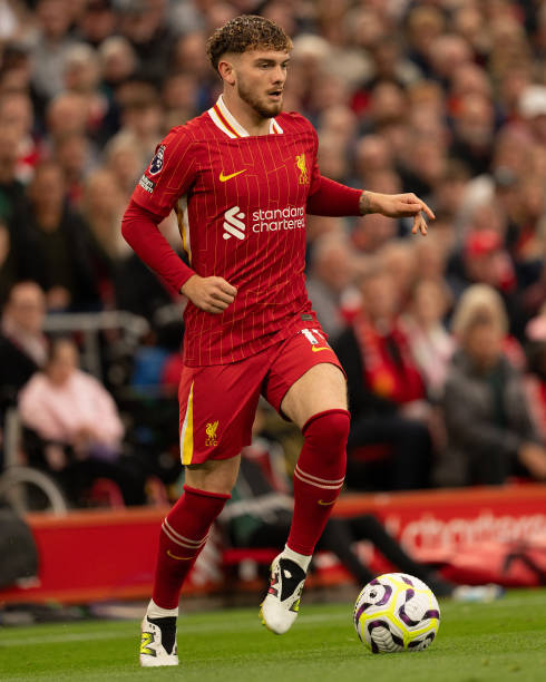 的品牌效应 的品牌效应